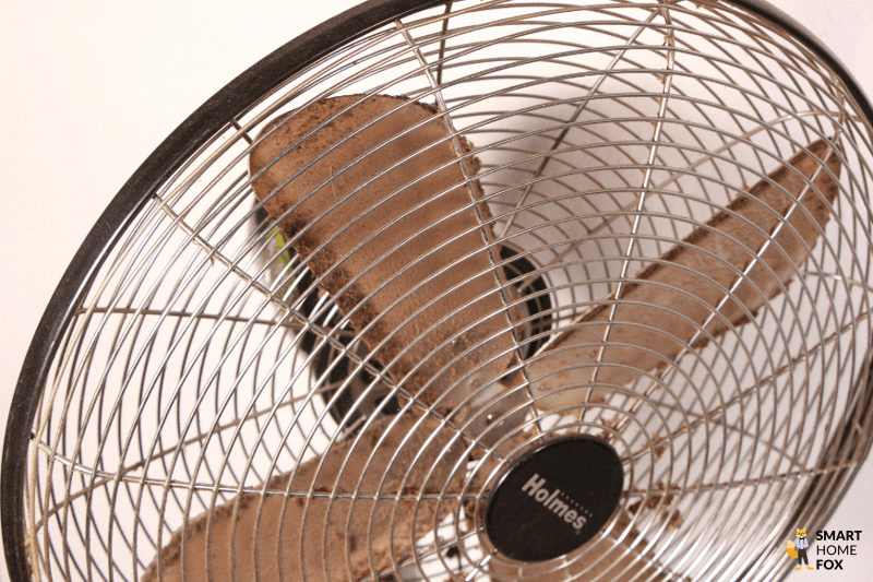 С лопастей напольного вентилятора свисают комки пыли